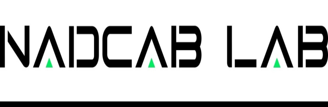 Cryptocurrency Wallet Development Company