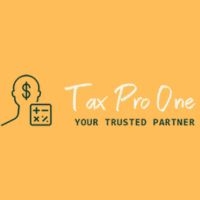 One Tax Pro One