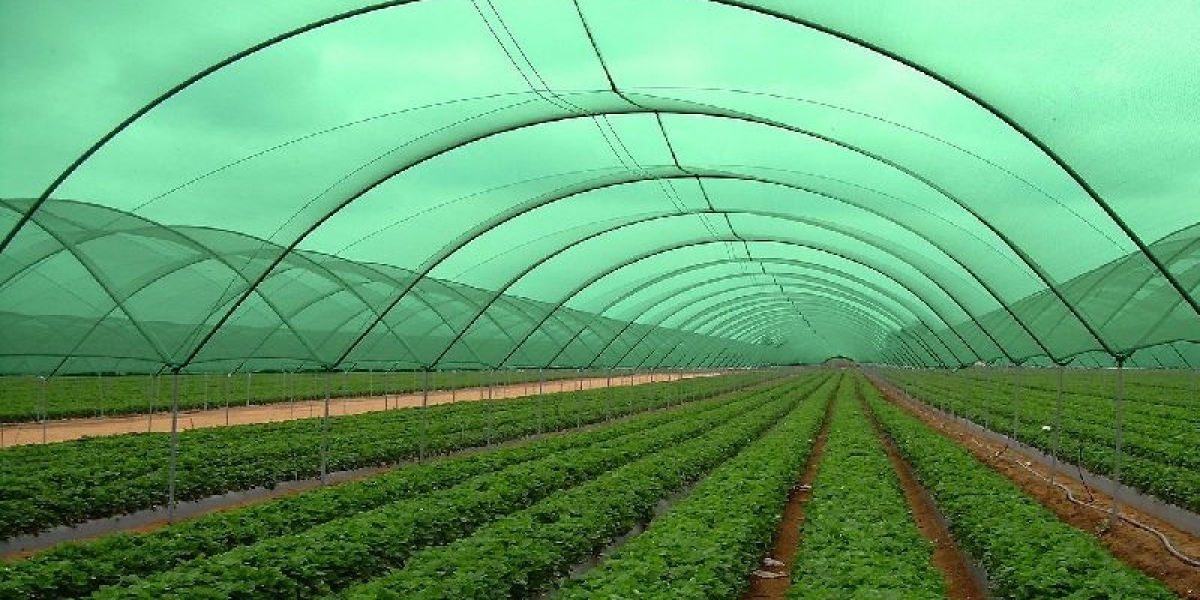 Green Agro Shade Net Manufacturing Plant Project Report, Machinery Requirements, Raw Materials, Cost and Revenue