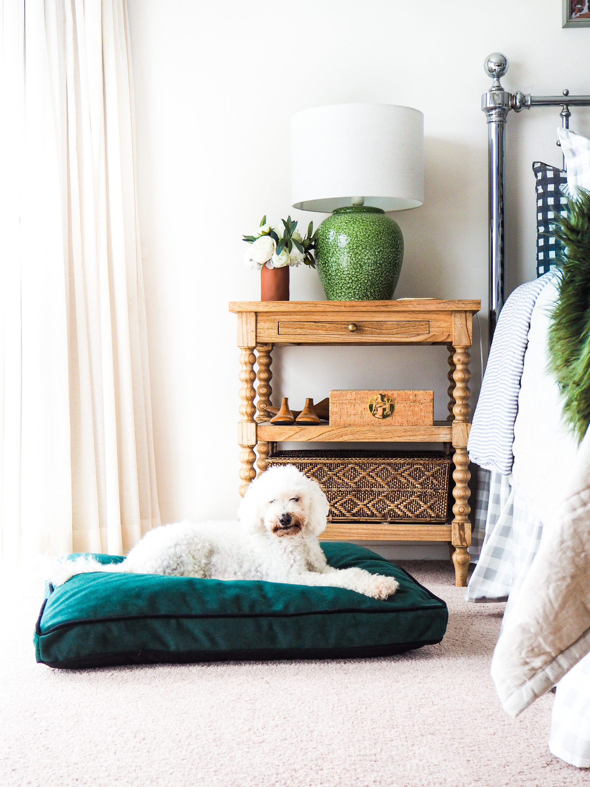 Furniture Fabrics That Love Your Pets As Much As You Do - Abide Interiors