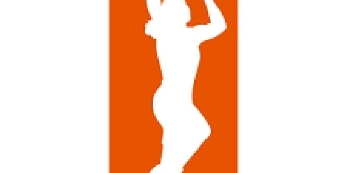Chicago Sky Mentoring Team Update