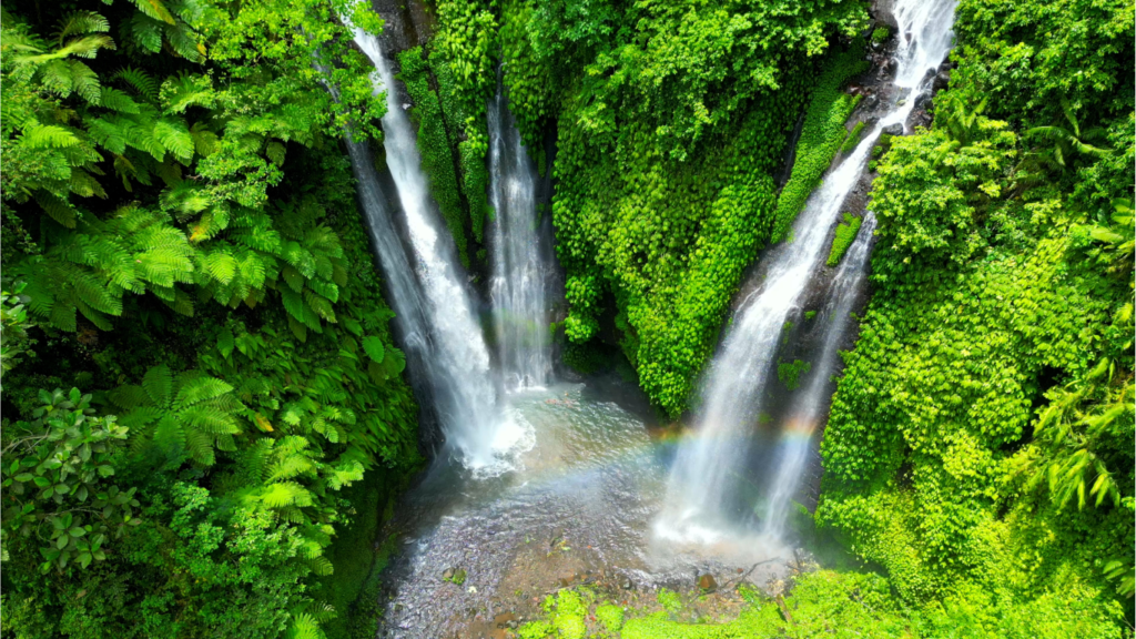 Fiji Hiking Delights | FijiDream