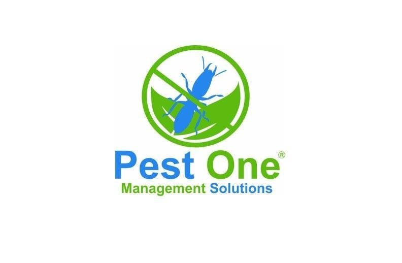 Pest One