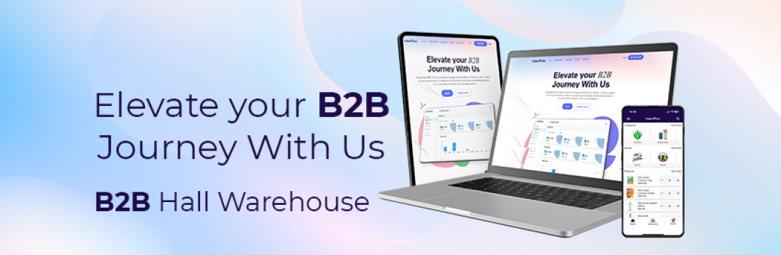 SalesWise B2B