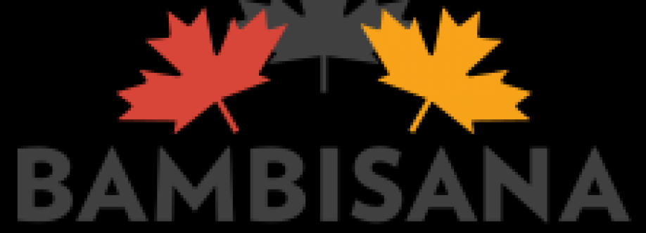 Bambisana Office Movers Installers