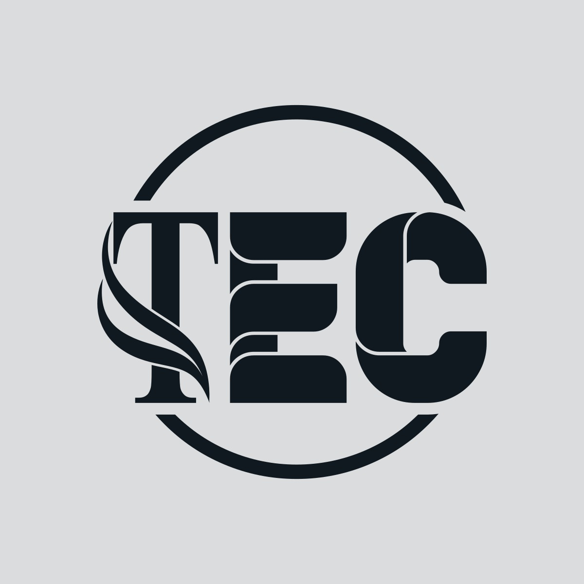 TheEntrepreneurial Chronicles