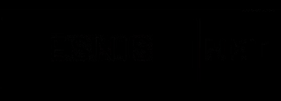 Esnis Net