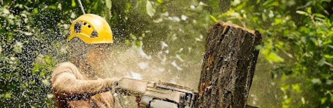 Apopka Tree Pros
