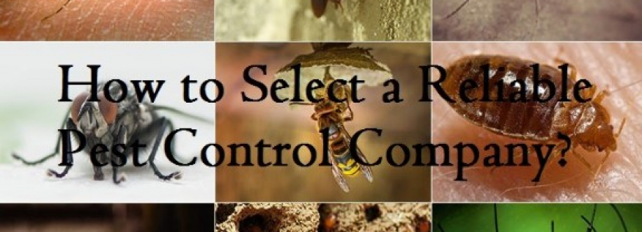 envirosafe pestcontrol