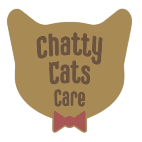 chatty catsuk