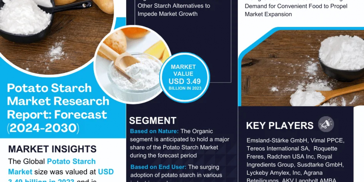 Exploring Potato Starch Market: Rising Trends, Opportunities and Challenges Forecast 2030
