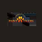 PAINT TIGERS