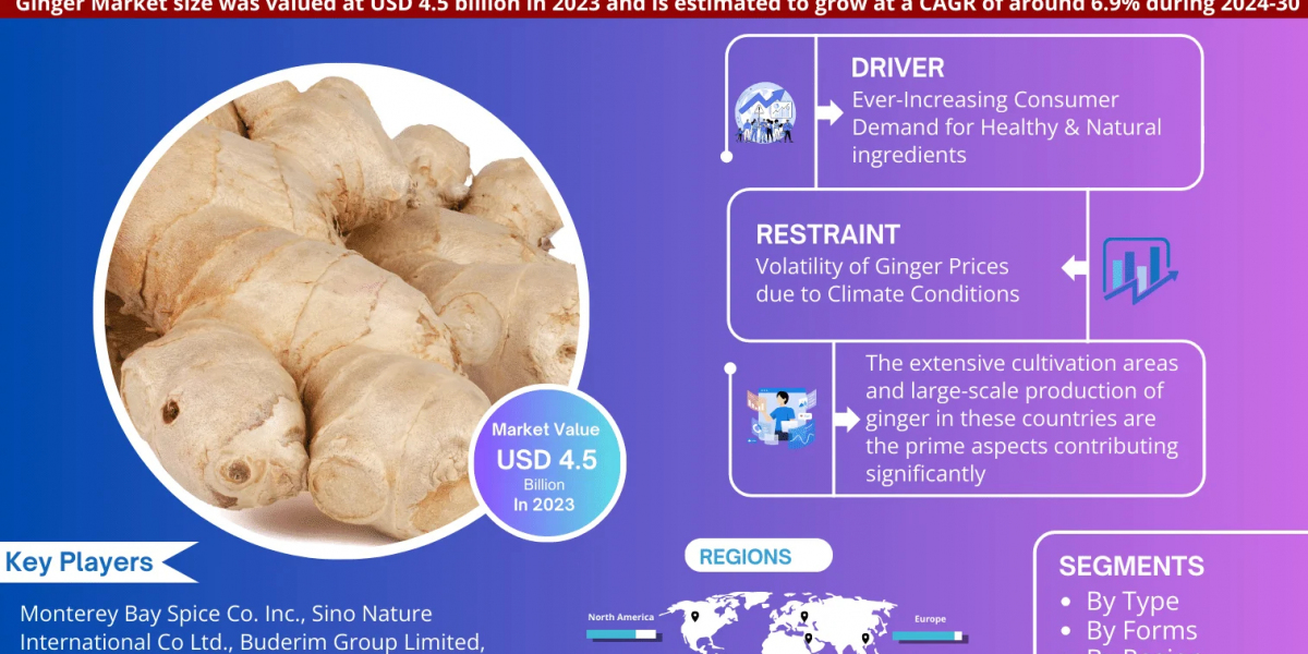 Exploring Ginger Market: Rising Trends, Opportunities and Challenges Forecast 2030