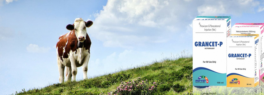 Petvet healthcare