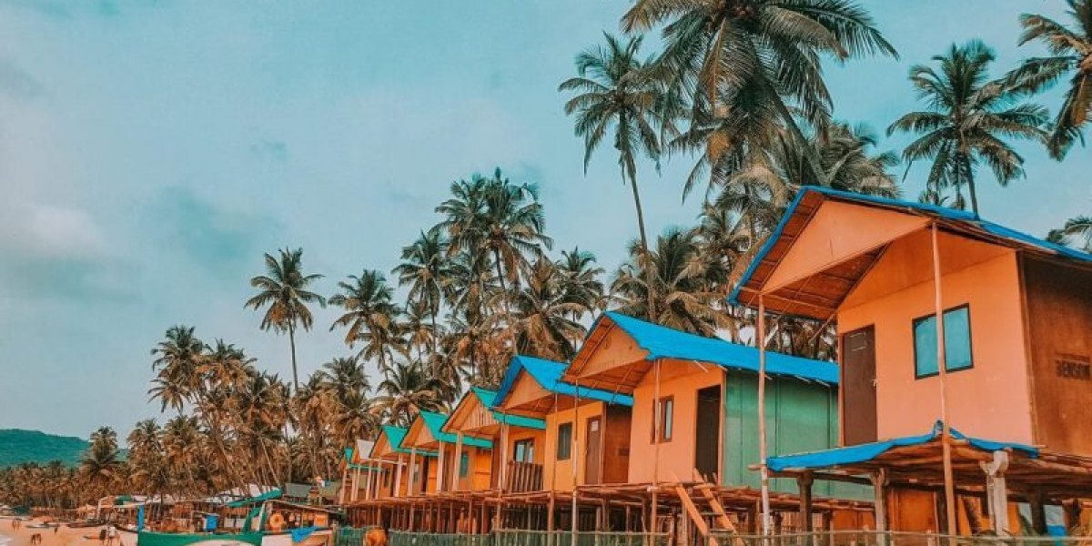 Exploring the Best Travel Agency in Delhi for Unforgettable Goa Tour Packages