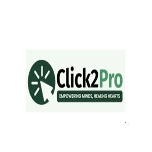 Click2 Pro