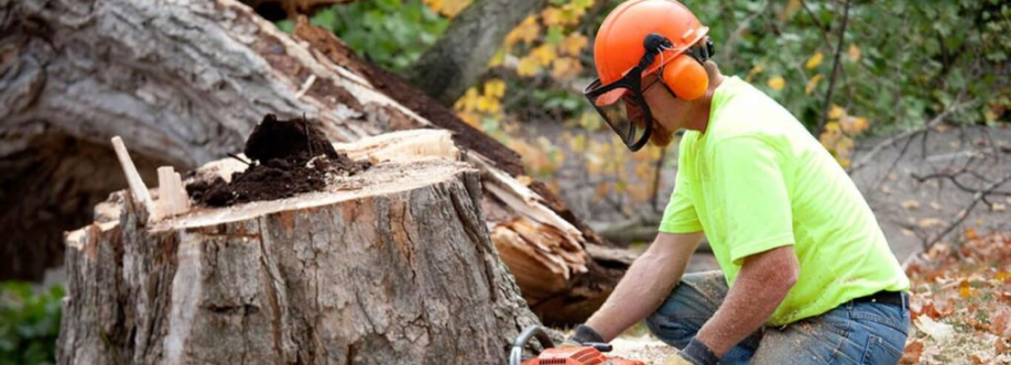 Mississippi Tree Removal