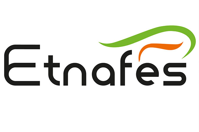 Etnafes Travel