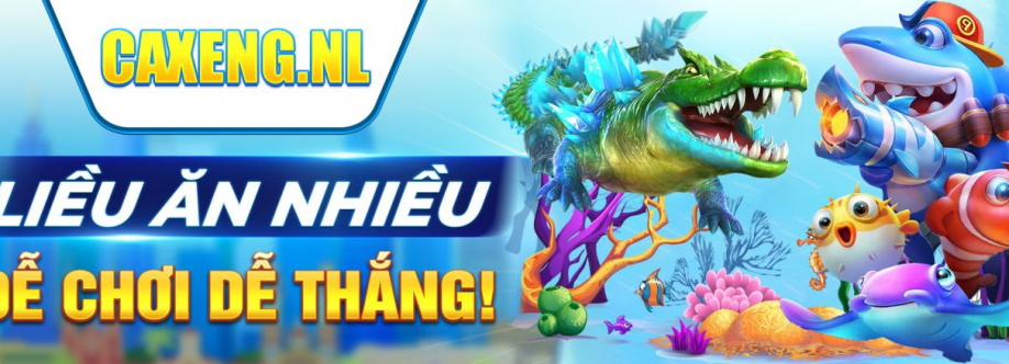 CAXENG nl
