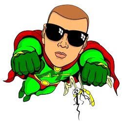 The Mosquito Guy