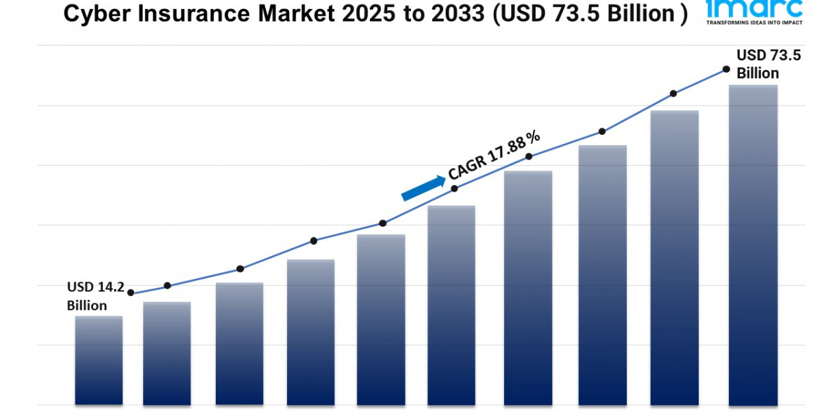 Cyber Insurance Market Trends, Growth, and Demand Forecast 2025-2033