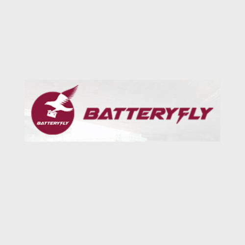 Battery Fly