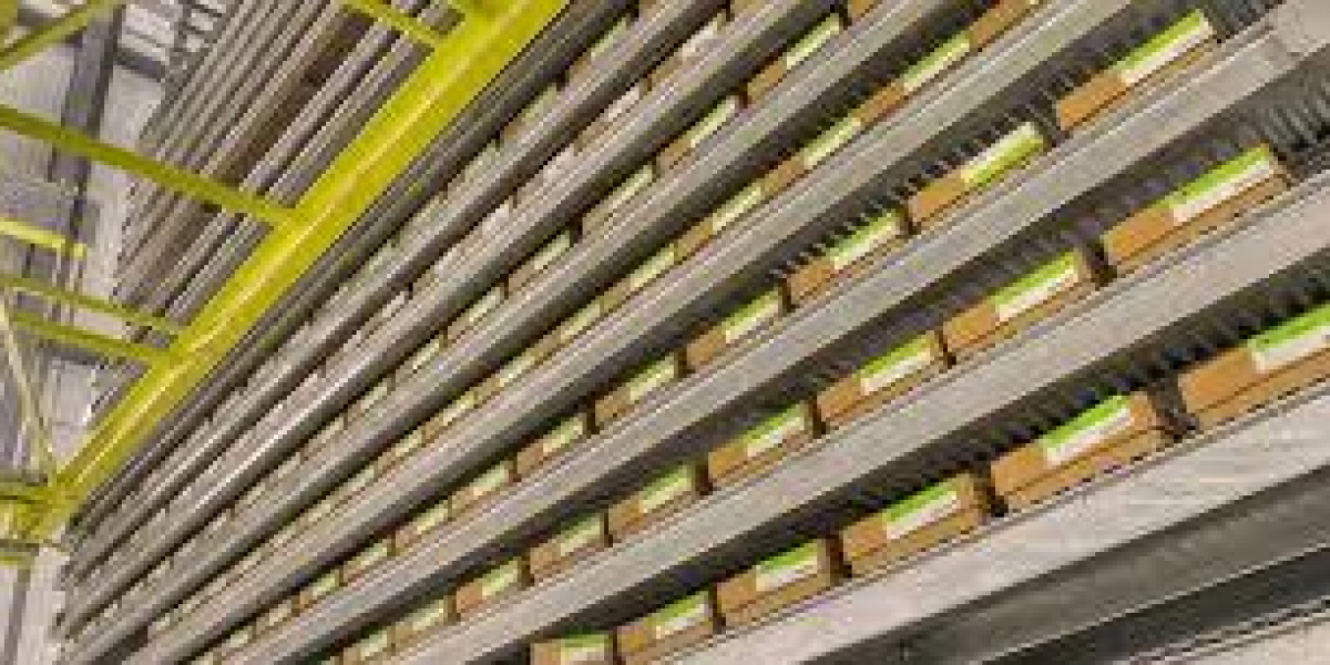 Why Insulated Wall Panels Are Crucial for Effective Cold Storage