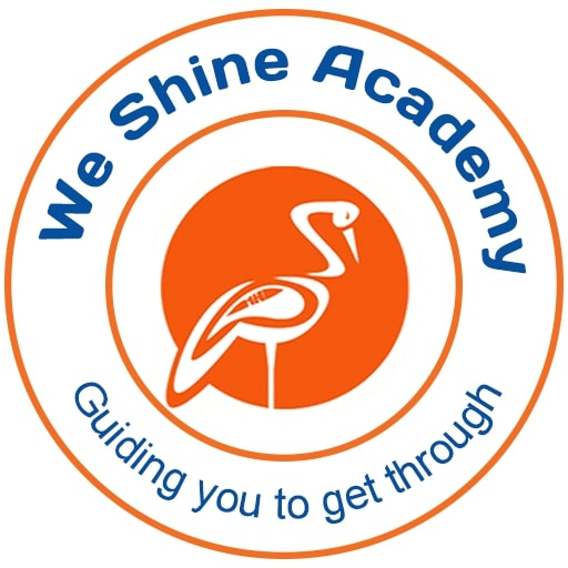 Weshine academy