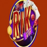 rikvip observer