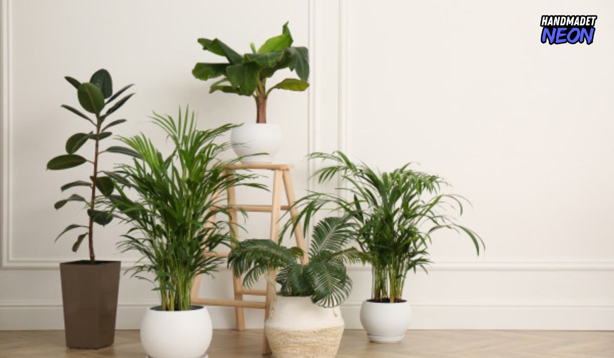 Top 99+ professional office decor ideas [Latest Update]