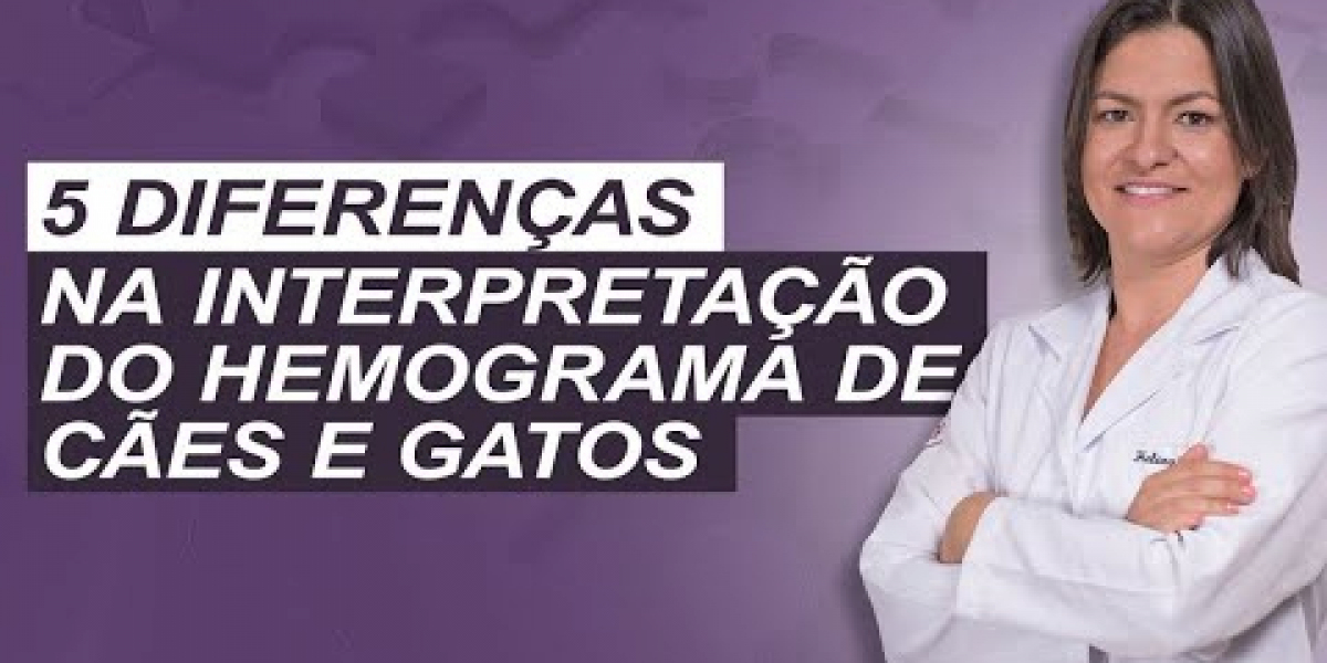 Exame PRÉ 3 Veterinário: A Chave para a Saúde do Coração e Rins do Seu Pet