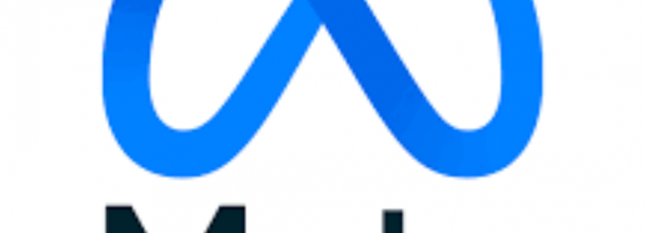 VibeSoft web development