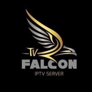 falcon live