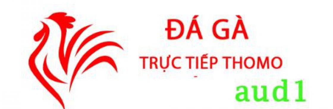 Đá Gà Trực Tiếp Thomo Hôm Nay