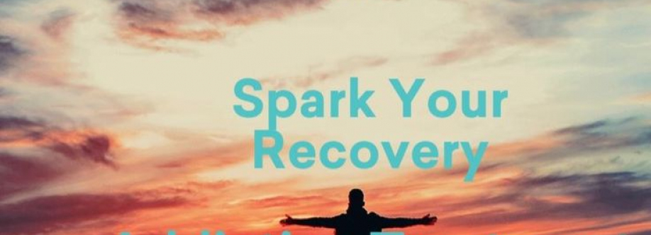 Spark Recovery