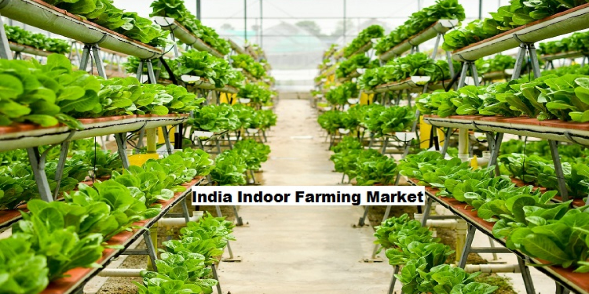 India indoor farming market forecast to rise due to land constraints and demand