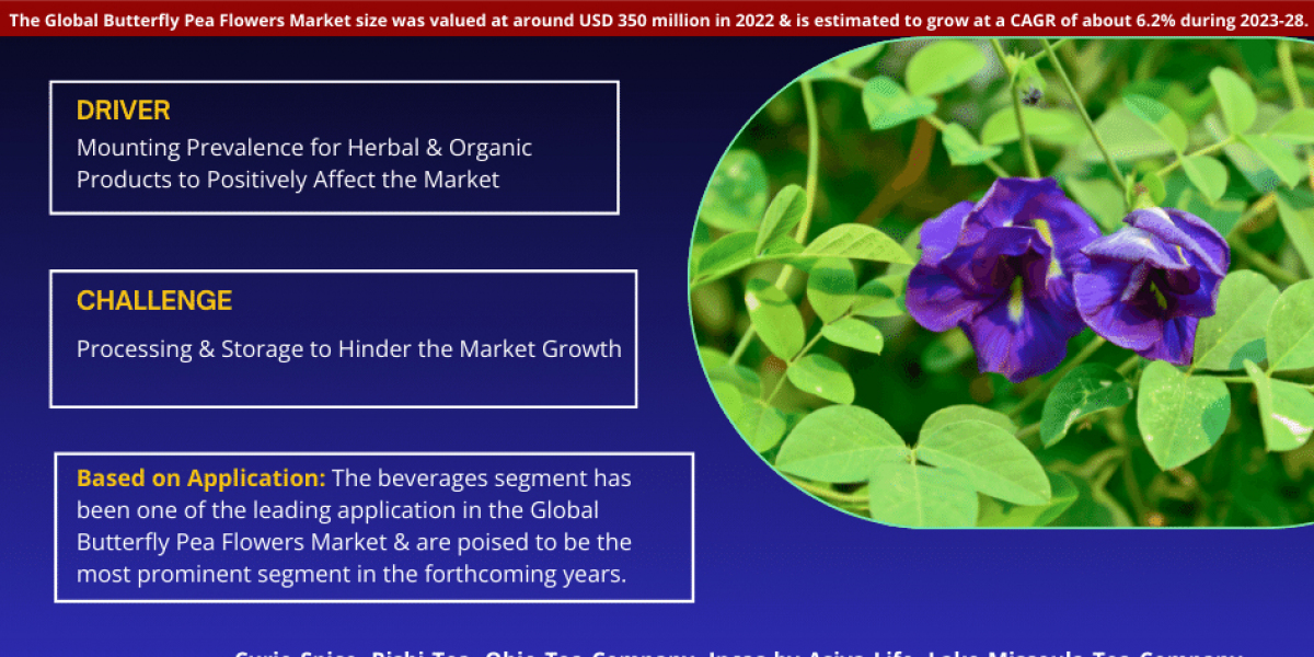 Butterfly Pea Flowers Market Analysis 2028 - Unveiling Size, Share, Growth, Trends, and Industry Insights