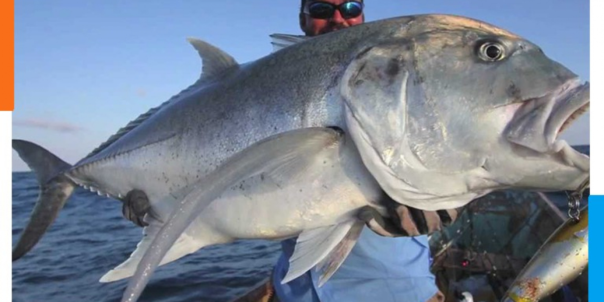 Unforgettable Socotra Fishing Adventures | Socotra Pioneer Tours