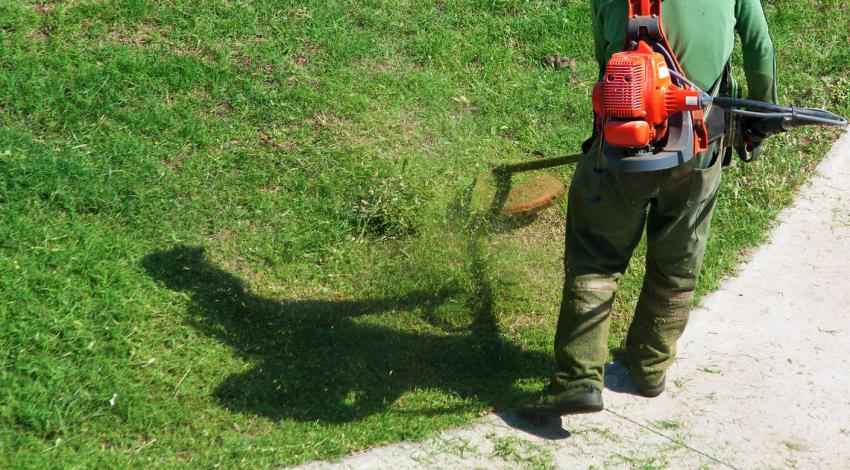 Seasonal Lawn Restoration: How Experts Keep Your Lawn Green Year-Round - written by LAND LOVE LAWN MAINTENANCE on Sociomix