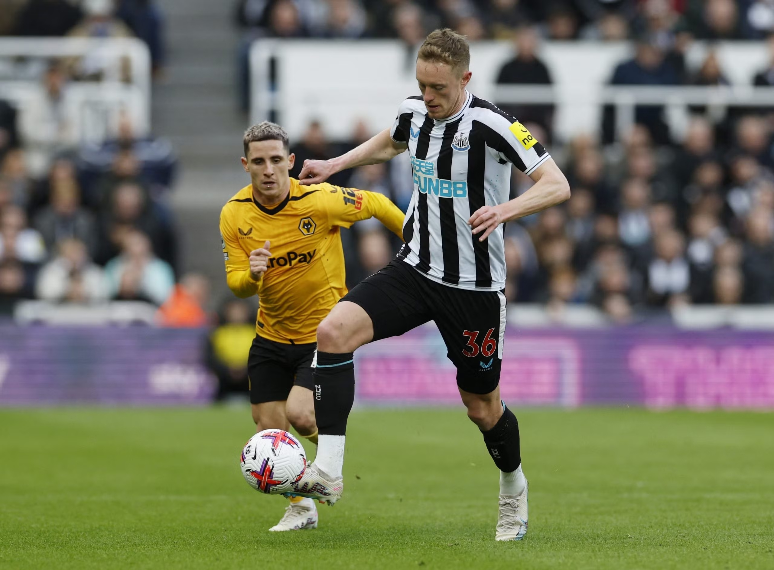 Soi kèo Newcastle vs Wolves lúc 02h30 ngày 16/1/2025