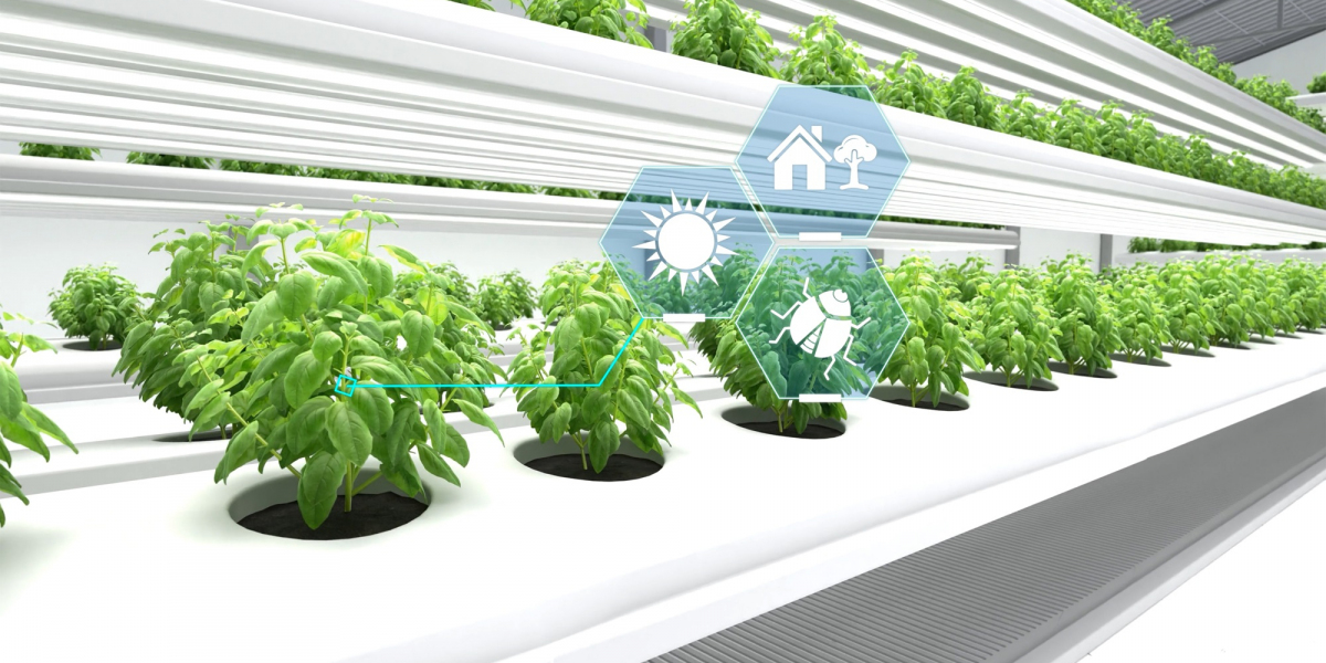 Weeding Out the Competition: Emerging Trends in the Smart Weed Control Market [2023-2028] | BIS Research