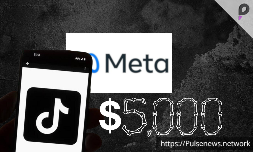 TikTokers Offered $5000 to Switch to Facebook and Instagram - Pulse News
