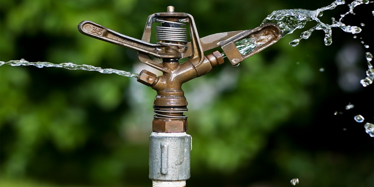 Sprinkler Irrigation System Market Gains from Greenhouses, Investments