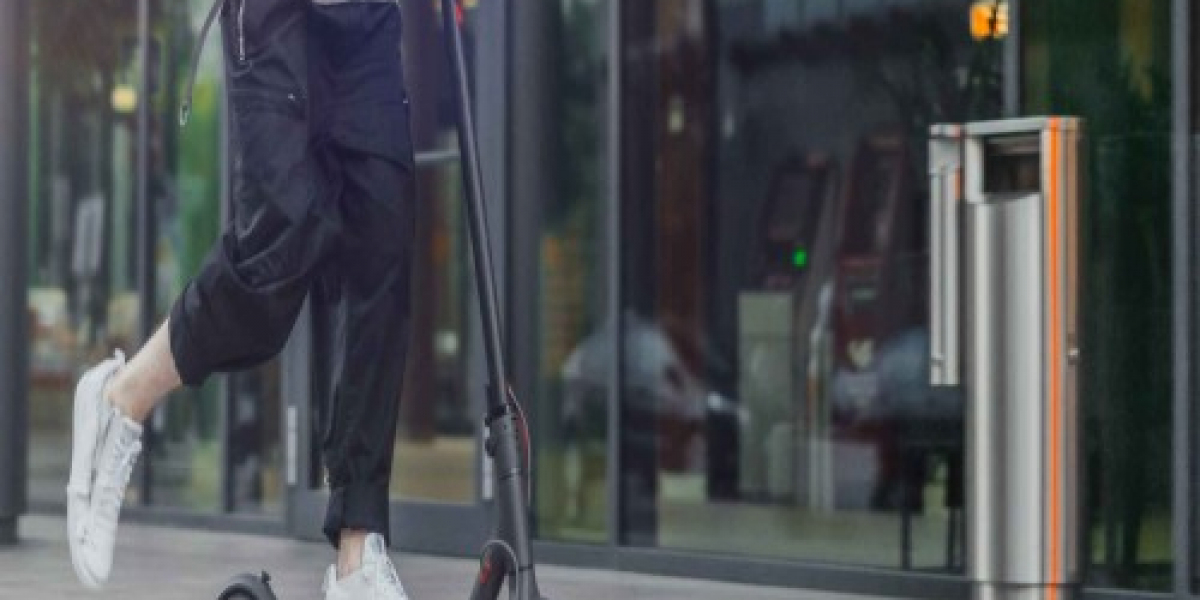 Scooter Ren: The Rise of Shared Electric Scooters
