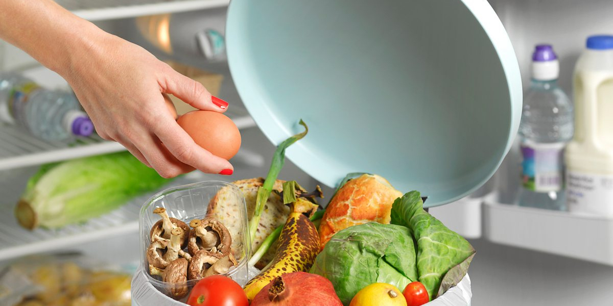 Food Waste Management Market will drive sustainability owing to increased policy support