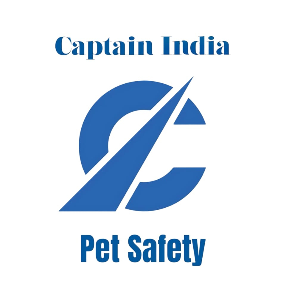Captain India