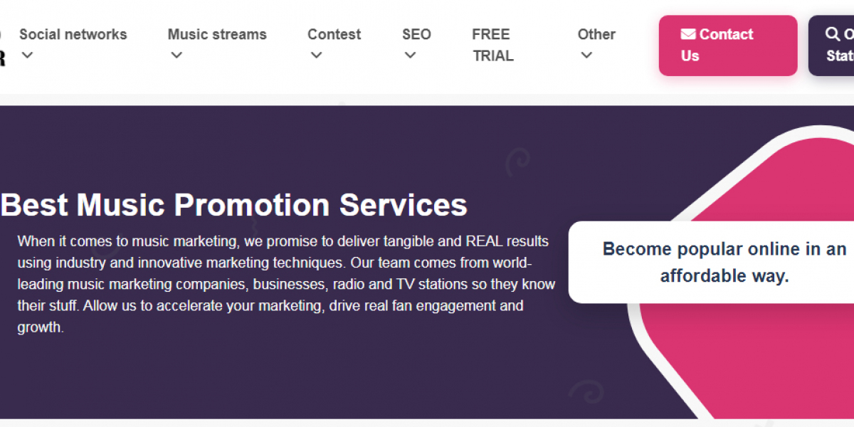 Dailymotion Domination: Where Every View Counts