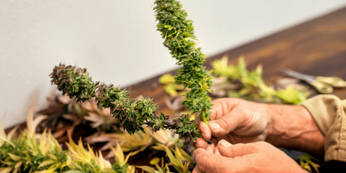 How Does NY Weed Delivery Offer Convenience and Privacy?