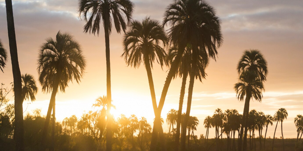 Discover the Magic of Tampa Bay, Florida: Beaches, Attractions, and Local Charm