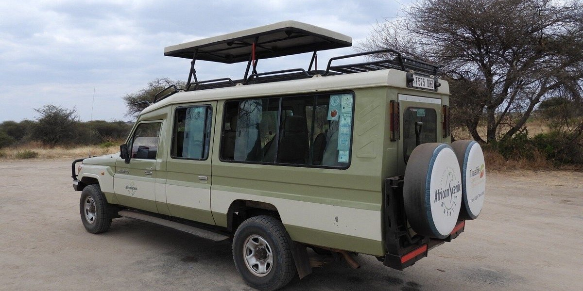 An Unforgettable Tanzania Safari Adventure With African Scenic Safaris